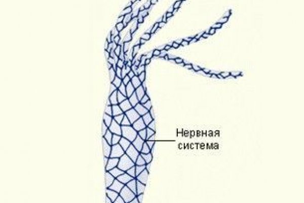 Кракен зеркало 2 веб