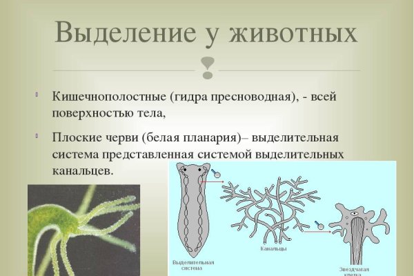 Как зайти на маркетплейс кракен