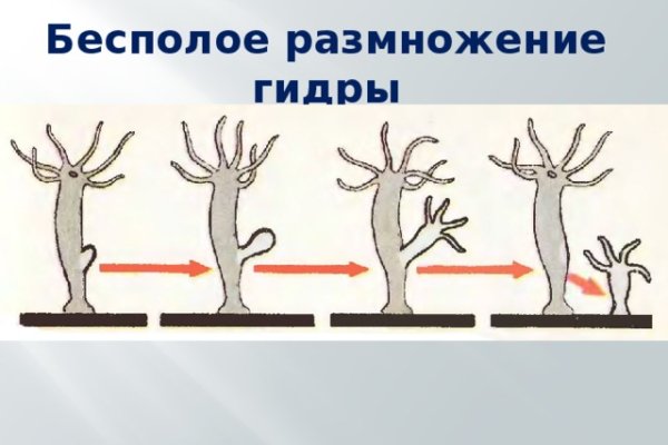 Kraken сайт kraken clear com