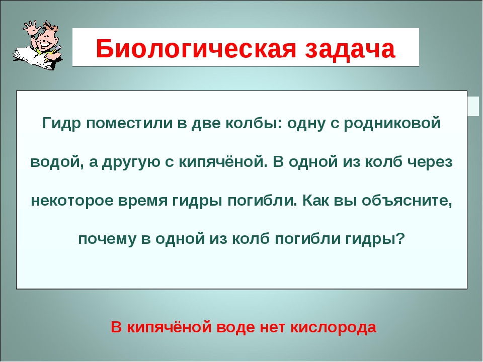 Кракен тор kr2web in