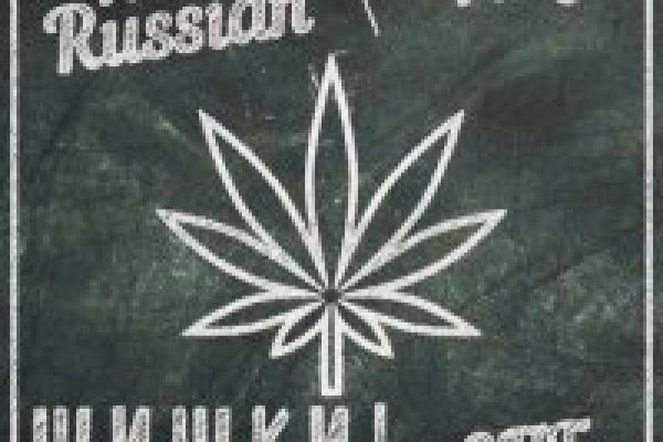 Кракен маркет даркент только через тор