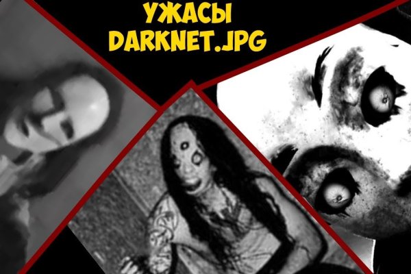 Kraken 12 at