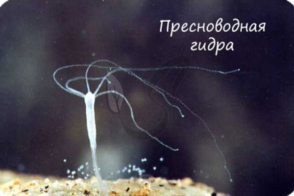 Магазины с наркотиками