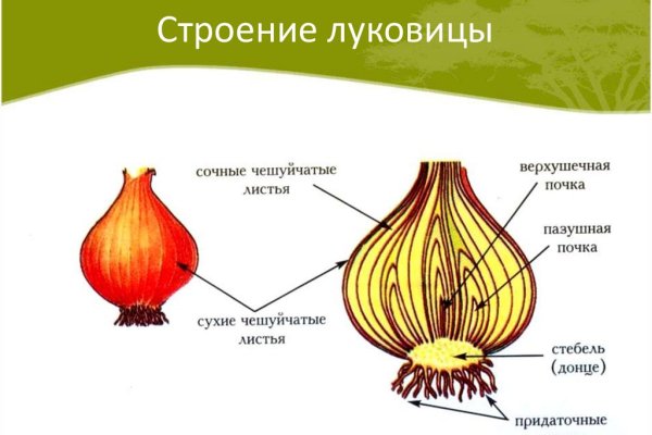 Рабочая ссылка кракен в тор